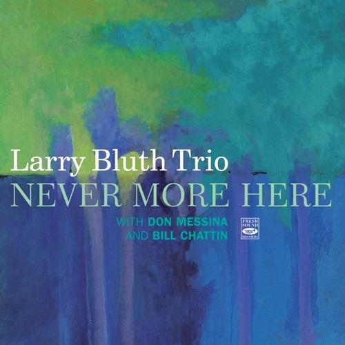 Never More Here - CD Audio di Larry Bluth