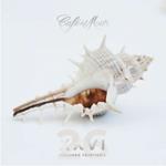 Café del mar vol.26
