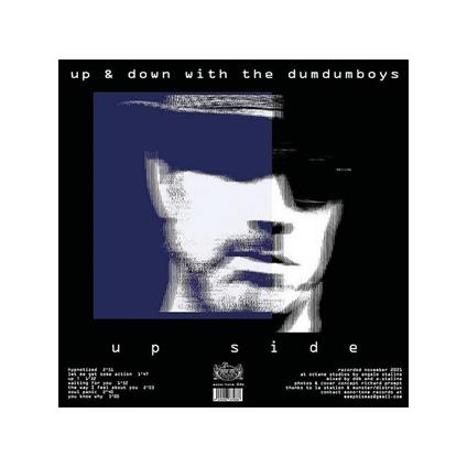 Up & Down With The Dum Dum Boys - Vinile LP di Dum Dum Boys