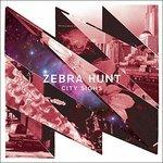 City Sighs - Vinile LP di Zebra Hunt