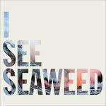 I See Seaweed - Vinile LP di Drones