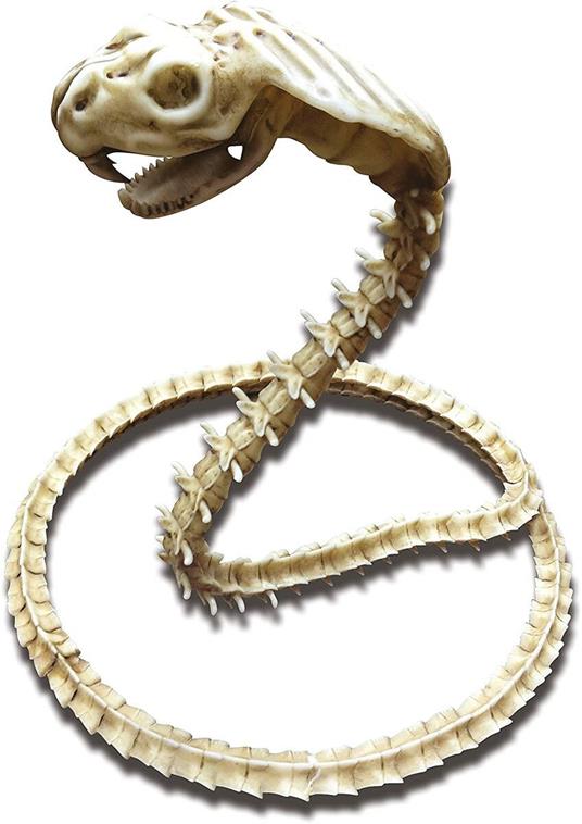 Accessori per travestimenti My Other Me Scheletro Cobra