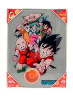 Dragon Ball: Characters Glass Poster 30 X 40 Cm