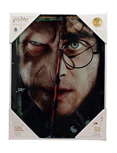 sd toys Poster Cristal Half Face and Voldemort Glass Posters Harry Potter Ufficiale Merchandising Addobbi Mobili Adesivi Decorazione per la casa, Multicolore (Multicolore), Unica