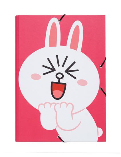 Raccoglitore. Line Friends