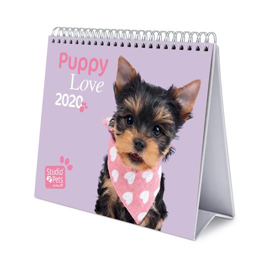 Calendario Deluxe 2020 Studio Pets Dogs