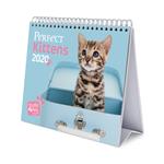 Calendario Deluxe 2020 Studio Pets Cats