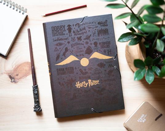 Cartelletta tre lembi Harry Potter - 4