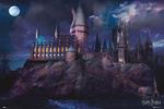 Harry Potter: Grupo Erik - Hogwarts (Poster 61x91,50 Cm)
