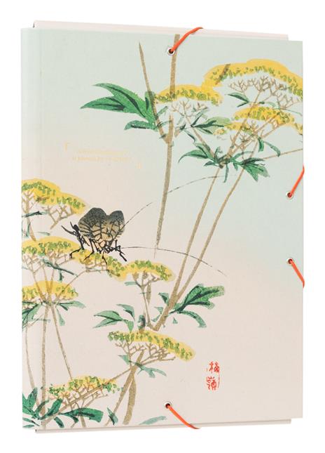 Raccoglitore Lembi Japan