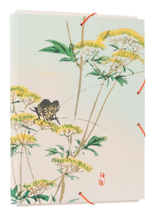 Raccoglitore Lembi Japan