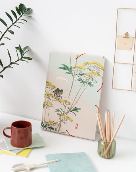 Raccoglitore Lembi Japan - 4