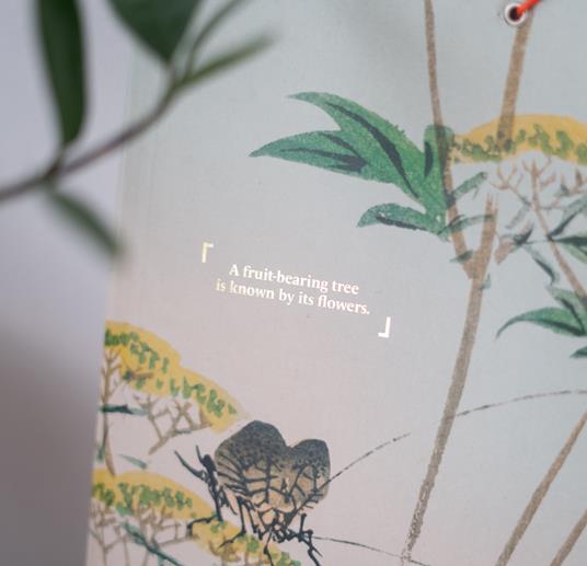 Raccoglitore Lembi Japan - 5