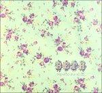 Seguix-Me El Fil - CD Audio di Beth