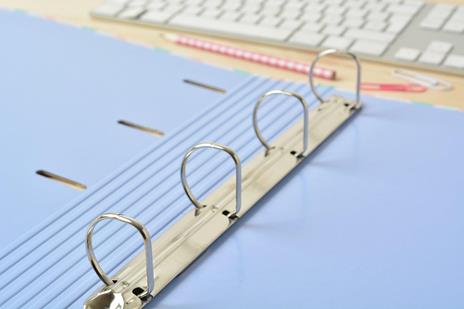 Raccoglitore 4 Anelli Forata Premium Amelie - 6