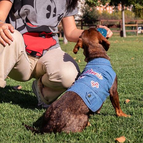 Disney Minnie Mouse Giubbotto jeans per cane XS For Fun Pets Cerdà - 6