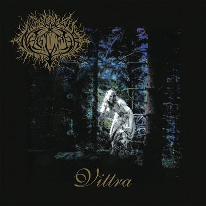 Vittra - Vinile LP di Naglfar