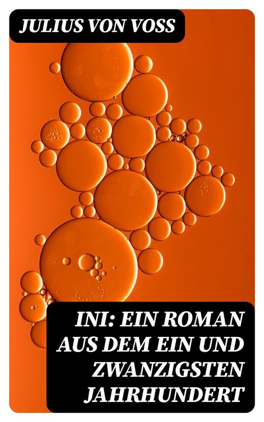 Ini: Ein Roman aus dem ein und zwanzigsten Jahrhundert