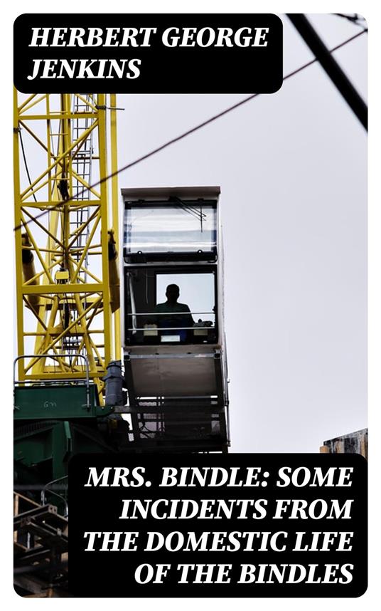 Mrs. Bindle: Some Incidents from the Domestic Life of the Bindles