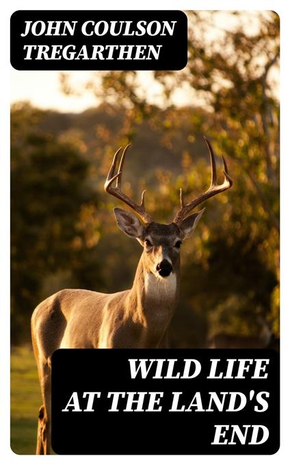 Wild Life at the Land's End