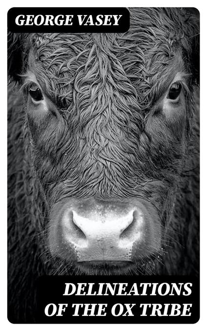 Delineations of the Ox Tribe