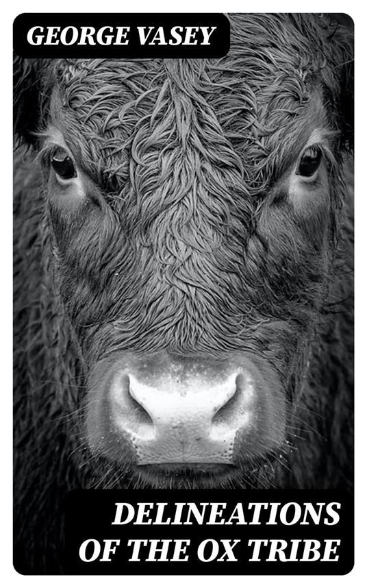 Delineations of the Ox Tribe