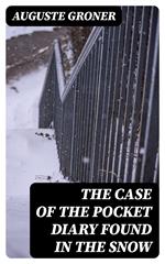 The Case of the Pocket Diary Found in the Snow