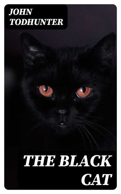 The Black Cat