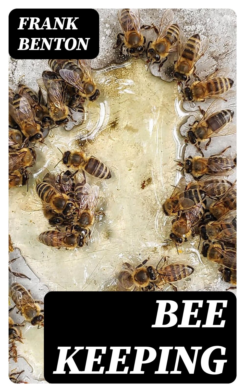 ibs