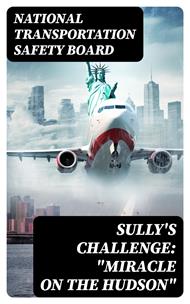 Sully's Challenge: 