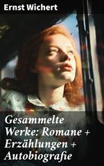 Gesammelte Werke: Romane + Erzählungen + Autobiografie