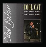 Cool Cat