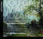 Musica da camera - CD Audio di Wolfgang Amadeus Mozart