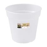 Vaso Orchidee Green Basics Orchid 13cm Transparent Elho