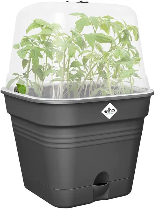 Elho Vaso Da Coltura Green Basics Growpot Square Allin1 25Cm Living Black - 2