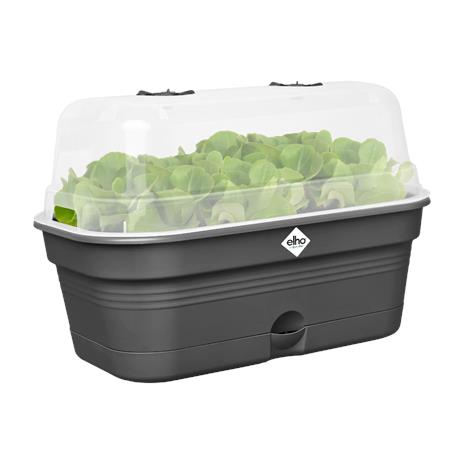 Elho Vaso Da Coltura Green Basics Grow Tray Allin1 M Living Black - 2