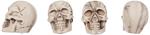 Boland: Bag 12 Skulls (4 X 3 X 4 Cm) H. Set 12 Teschietti 4 X 3 Cm