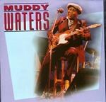 Wonderful Music Of Muddy Waters