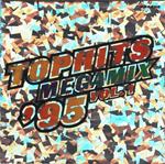 Top Hits Megamix 95 Vol. 1