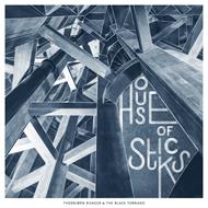 House Of Sticks