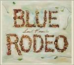Small Miracles - CD Audio di Blue Rodeo