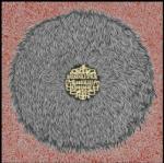 Road Kill Overcoat - CD Audio di Busdriver