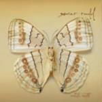 White Moth - CD Audio di Xavier Rudd