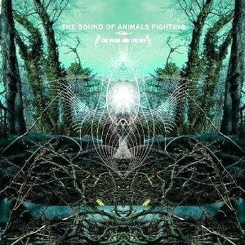The Ocean and the Sun - CD Audio di Sound of Animals Fighting