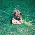 Cody - Vinile LP di Joyce Manor