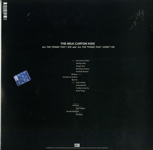 All the Things That I Did and All the Things That I Didn't Do - Vinile LP di Milk Carton Kids - 2