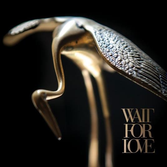 Wait For Love - Krm - Vinile LP di Pianos Become the Teeth