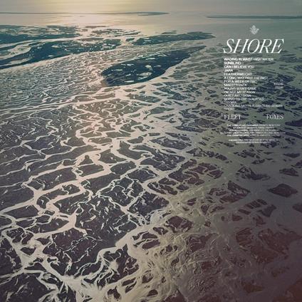 Shore (Crystal Clear Vinyl) - Vinile LP di Fleet Foxes