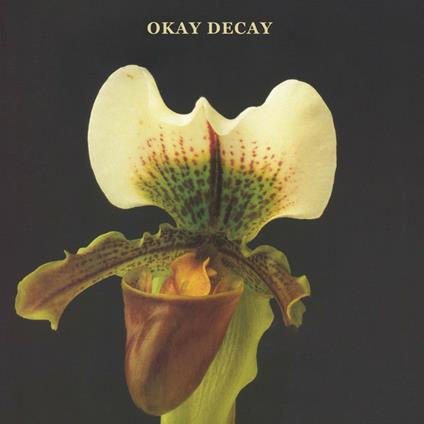 Okay Decay - CD Audio di Canshaker Pi