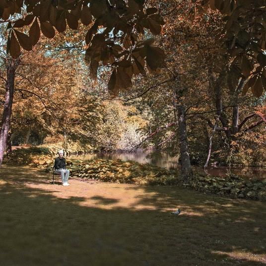 7.6.9.6. - CD Audio di Spinvis